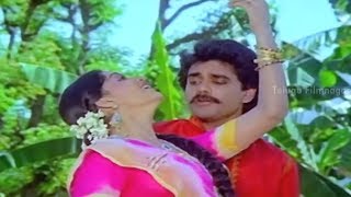 Nesthama Nesthama Full Screen Status Damarukam movie nagarjuna amp Anushka vamshihdcreations [upl. by Otreblaug]