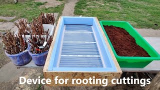 An Effective Method of Rooting Grape Cuttings [upl. by Eitsym973]