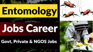 Entomology  Careers in Entomology  Entomology Job Scope [upl. by February544]