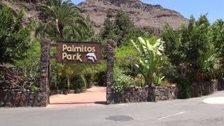 Palmitos Park Maspalomas Gran Canaria [upl. by Gadmon]