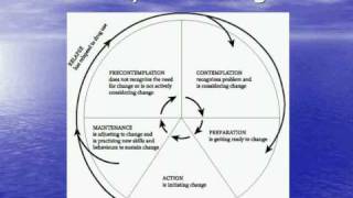 Stages of Behavior Change [upl. by Elleimac866]