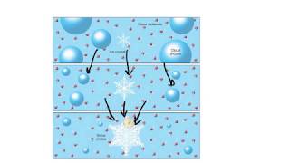 Bergeron processIce Crystal TheoryExplained [upl. by Jason]