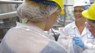 Making Cottage Cheese at Michigan Dairy [upl. by Accever]