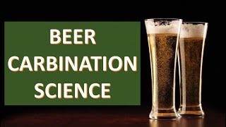 Carbonation Science  Beer Carbonation [upl. by Yeorgi923]