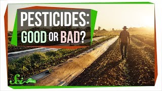 How Safe Are Pesticides Really [upl. by Ennayehc]