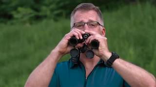 How to Use Binoculars for Birding [upl. by Elagibba884]