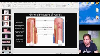 Histology of the Cardiovascular System part 1 [upl. by Aileon]