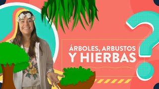 Árboles arbustos y hierbas [upl. by Lareena]