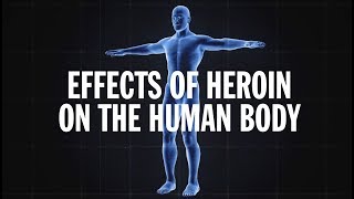 Science Behind Addiction Heroin [upl. by Simpkins]