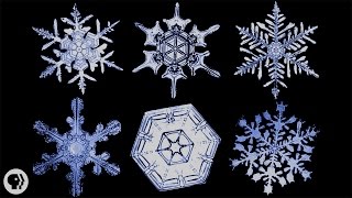 The Science of Snowflakes [upl. by Arramat]