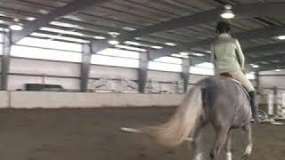 How to Gallop a Horse [upl. by Hamner]