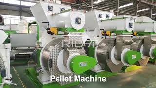 How to Produce Biomass Pellets with Biomass Pellet Machine  Richi Machinery [upl. by Clemence805]