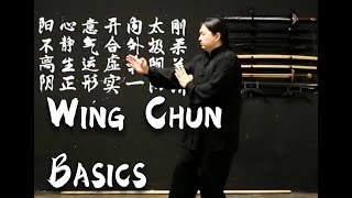 8 min Basic Wing Chun Training for beginners [upl. by Novyat]