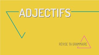 Révise ta grammaire  laccord des adjectifs en français A1A2 [upl. by Ahsina]