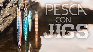 Cómo PESCAR con JIGS a SPINNING desde costa [upl. by Airretnahs932]