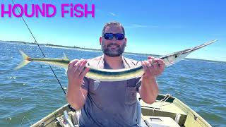 Fishing New JerseyBarnegat Bay Smorgasbord 7422 [upl. by Idnir]