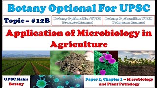 Application of Microbe in Agriculture Economic Importance of Bacteria With Reference to Agriculture [upl. by Aissirac]