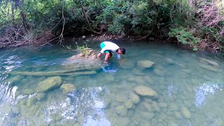 Nuestra Técnica Para Atrapar CANGREJOS De Rio Pesca y Cocina [upl. by Haydon423]