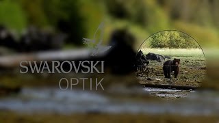 Swarovski Z3 and Z5 RiflescopesVideo Review [upl. by Hatokad]