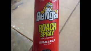 Does Bengal Roach Spray really work [upl. by Pigeon]