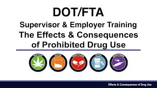 DOT Drug Abuse Awareness Video amp Supervisor Training [upl. by Anaehr]