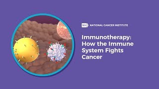 Immunotherapy How the Immune System Fights Cancer [upl. by Kussell]