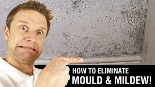 How to Paint over Mould amp Mildew [upl. by Faydra]