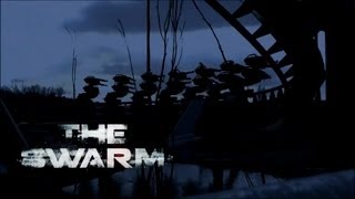 The Swarm at Thorpe Park Documentary [upl. by Aisinoid]