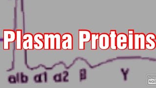 Plasma Proteins Biochemistry Albumin Globulins  Fibrinogen [upl. by Ladnyk213]