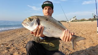 PESCA DORADA XL DESDE PLAYA [upl. by Lashonda]