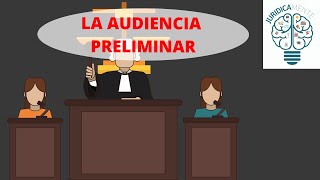 LA AUDIENCIA PRELIMINAR [upl. by Nicoli]