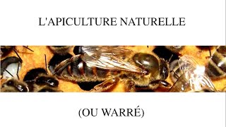 Lapiculture en warré [upl. by Llewoh979]