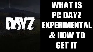 Beginners Guide What Is PC DayZ Experimental amp How To Get amp Download It amp Get On The Test Server [upl. by Mosenthal]