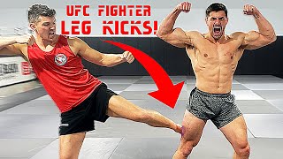 Leg Kicked by Pro UFC Fighter Stephen Wonderboy Thompson CRAZY PAIN  Bodybuilder VS MMA Challenge [upl. by Peonir]