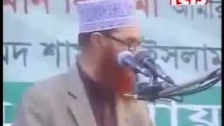 Heavy Weight Speech By Allama Deloar Hossain Saidi [upl. by Nalon]