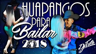 Los Mejores HUAPANGOS Para Bailar 2018 DjTito [upl. by Amabil]