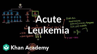 Acute leukemia  Hematologic System Diseases  NCLEXRN  Khan Academy [upl. by Gravante403]