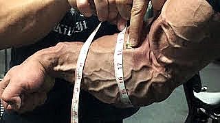 The Best Forearms in Bodybuilding [upl. by Metzger]