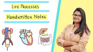 Class 10 Biology Life Processes Handwritten Notes [upl. by Junno]