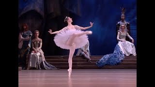 Elizaveta Kokoreva  Raymonda 2019 Variation Act 3 [upl. by Buckden]