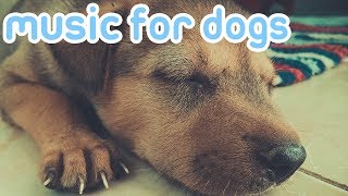 15 HOURS OF RELAXING DOG MUSIC Reduce Anxiety and Help Dogs Sleep [upl. by Blandina]