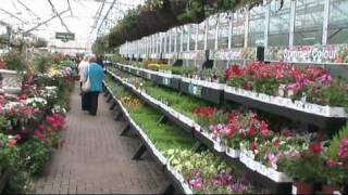 Garden Centrewmv [upl. by Haleemaj]