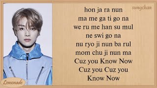 NCT U  Know Now Easy Lyrics [upl. by Emelun]