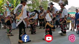 DANZA DE LOS NEGRITOS  PAPANTLA VERACRUZ [upl. by Daloris425]