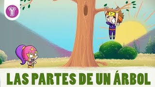 ¿Qué conforma a un árbol  Smartkids [upl. by Nishom]