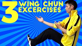 3 Basic Wing Chun Training Workout Exercises for Beginners [upl. by Soble945]