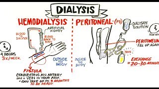 Renal  Filtration Reabsorption and Secretion Overview [upl. by Ellga]