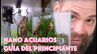 Nano acuarios 🐟 🌿 🦐 🐌 Guía del principiante [upl. by Enyt477]