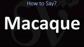 How to Pronounce Macaque CORRECTLY [upl. by Noived]