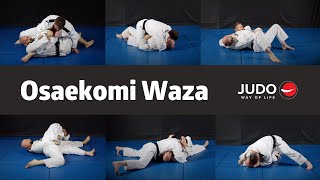 Osaekomi Waza  Hold Down Techniques [upl. by Kluge479]